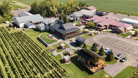 Drone image of Three Brothers Wineries and Estates showing multiple tasting rooms, parking lot and vineyard.